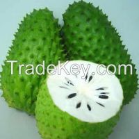 FRESH SOURSOP GRAVIOLA FRUIT