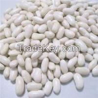 New Crop Medium White Kidney Beans