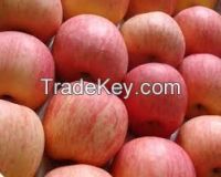 Red Delicious Apple, Royal Gala Apple, Granny Smith Apple, Autumn Gold Apple,...