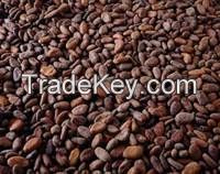 High Grade Dried Raw Cocoa Beans for Sale