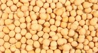 Yellow peas