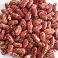 Sugar Beans | Kidney Beans | Mung Beans