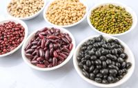 Beans Kidney Beans, Chickpeas, Soybeans, Lentils, Vigna Beans, Peas, Mung Bea.