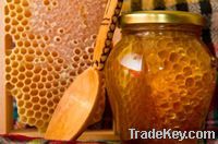 Honey & Honey Products