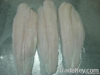 PANGASIUS FILLET