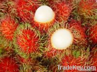 rambutant