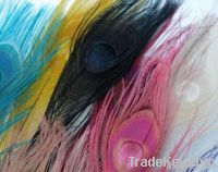 peacock and ostrich feathers for sale