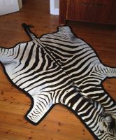 Ã¢ï¿½ï¿½zebra and lion hides