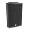 PA SPEAKER MT-15