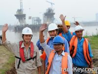 Vietnam Manpower Supplier- Your partner for success!