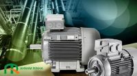 ENERGY EFFICIENT INDUCTION MOTOR