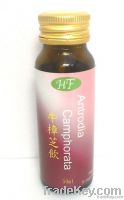 Antrodia camphorata Drink