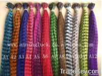 https://fr.tradekey.com/product_view/2013-Hotsale-Grizzly-amp-Solid-Snythetic-Feather-Hair-Extensions-5412334.html