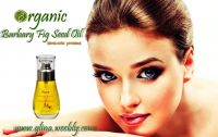 Organic  anti-aging prickly pear  seed oil serum