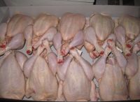 HALAL FROZEN CHICKEN CUTS AND WHOLE CHICKEN FOR EXPORT