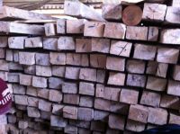acacia timber and other also
