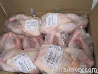 Fresh andFrozen Halal Chicken leg quarters