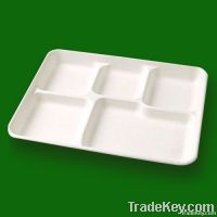 America Tray