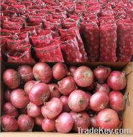 Fresh onions of China for sale