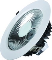 30W COB LED downlight