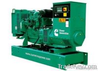 Diesel Generator C110 D100