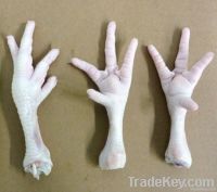 processed chicken feet and paw
