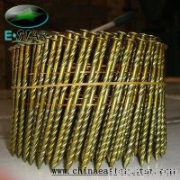 High quality coil nail with screw shank