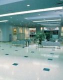 Enviromental PVC/Rubber Flooring for Commercial Use (GF0600)