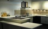 Cast Stone--Solid Surface Kitchen Countertop (GMA, GB)