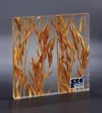 Transparent resin plant slabs and sheets