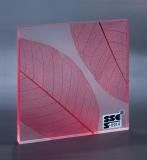 Transparent Acrylic Resin Sheets for Decorative Panels (TG01)