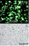 Glow-in-Dark Resin Artificial Stone (YG002)