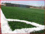 Soccer Artificial Grass (Synthetic Turf, Artificial Lawn)