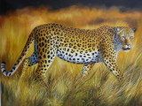 African Oil Painting