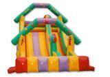 Castle / Inflatable Combo / Jumping Castle (GET-201303)