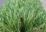 Synthetic Grass for Garden (TMC35)