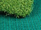 Putting Green Artificial Grass (TCH15)