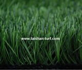 Artificial Lawn (TMH55)