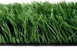 Football Grass