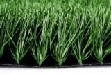 Synthetic Turf for Football Field