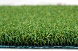 Golf Artificial Turf (TCH15)