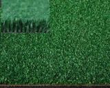 Fih Certified Hockey Grass