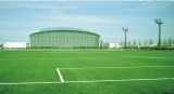 Artificial Turf for Soccer Field (TMTB)