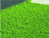 Artificial Turf for Tennis