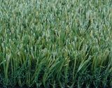Artificial Grass for Landscaping (TMC45)