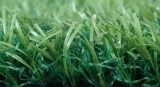 Artificial Grass for Landscaping/Garden (TMC38)