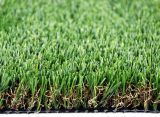 Artificial Grass