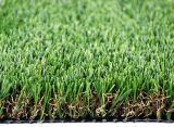 Artificial Grass for Garden /Children /Pet (TMC30)