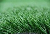 Synthetic Turf for Football Field (TFH50)