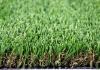 Artificial Grass Mat for Pet/Home Garden (TMC35)